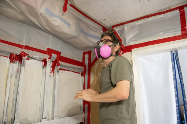 Best Post-Remediation Verification Testing  in Sandy Oaks, TX