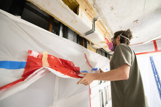Trusted Sandy Oaks, TX Mold Removal Experts