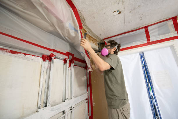 Best Mold Damage Restoration  in Sandy Oaks, TX