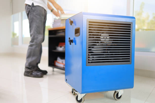 Best Basement Mold Removal  in Sandy Oaks, TX