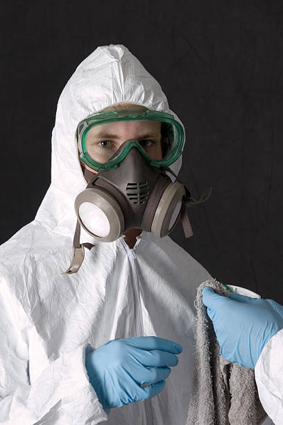 Best Emergency Mold Remediation  in Sandy Oaks, TX